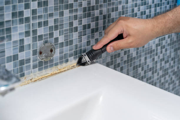Best White Mold Remediation in Stony Point, MI