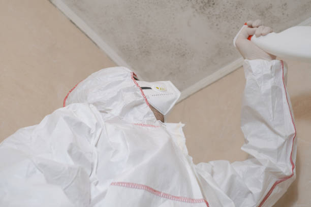 Best Industrial Mold Remediation in Stony Point, MI